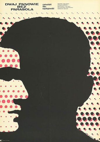 Poster of The Likeable Mister R.