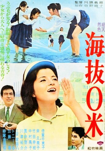 Poster of 海抜0米