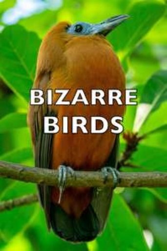 Bizarre Birds Poster of Bizarre Birds