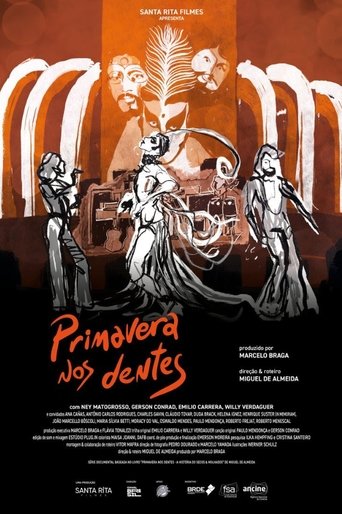 Poster of Primavera nos Dentes – A História do Secos & Molhados