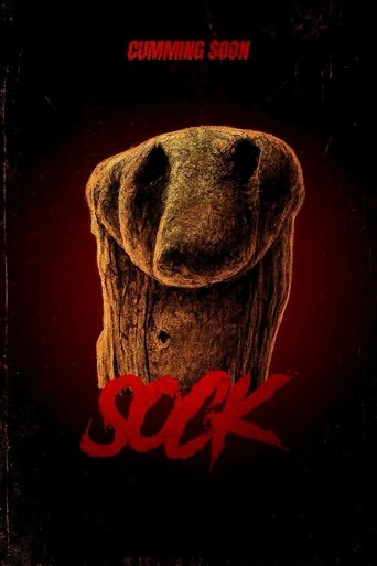 Poster of Sock