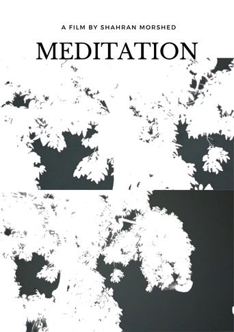 Poster of Meditation