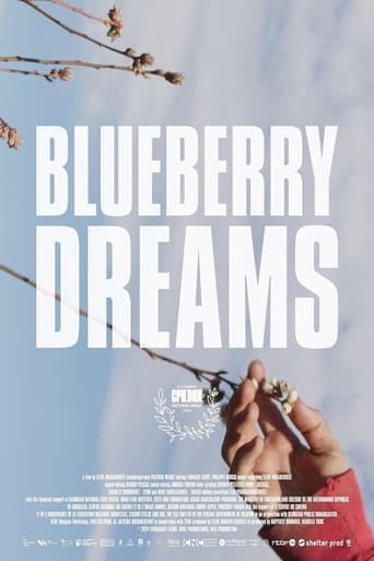 Poster of Blueberry Dreams