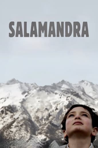 Poster of Salamander