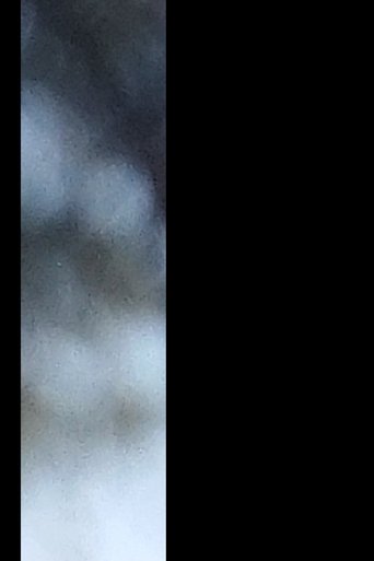 Untitled Poster of Untitled