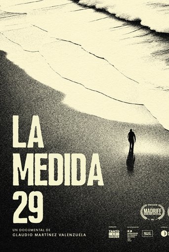 Poster of The 29 Law