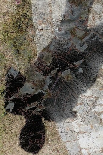 Poster of Presence