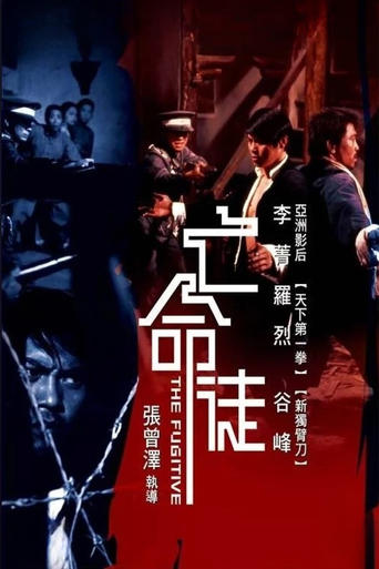 Poster of The Fugitive