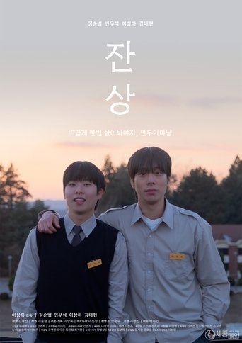 Poster of Afterimages