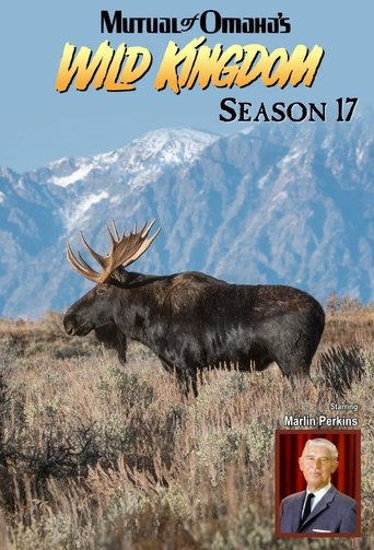 Portrait for Mutual of Omaha's Wild Kingdom - Season 17