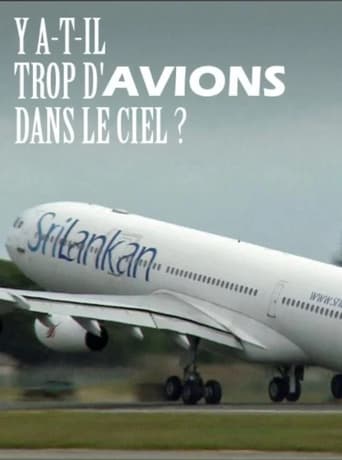 Poster of Y a-t-il trop d'avions dans le ciel ?