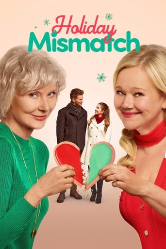 Poster of Holiday Mismatch