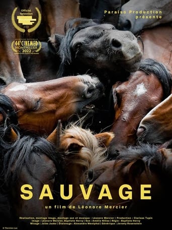 Poster of Sauvage