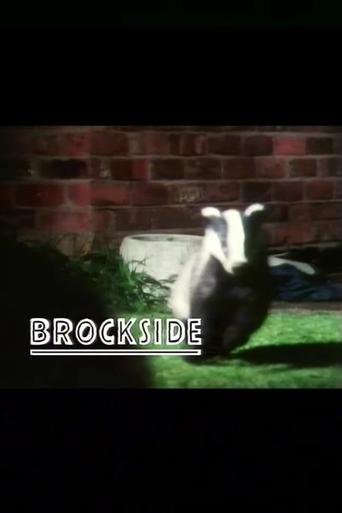 Poster of Brockside