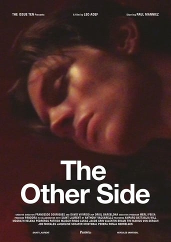 Poster of The Other Side