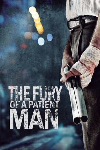 Poster of The Fury of a Patient Man