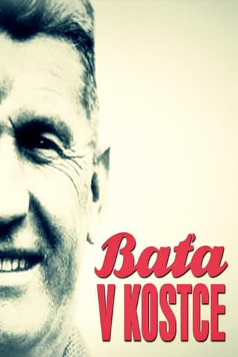 Poster of Baťa v kostce