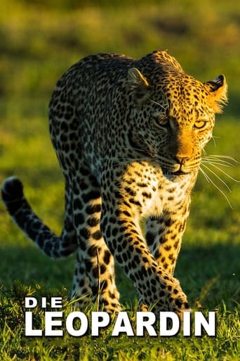 Poster of The Leopardess