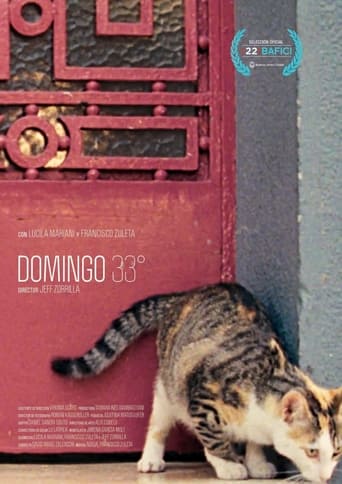 Poster of Domingo 33°