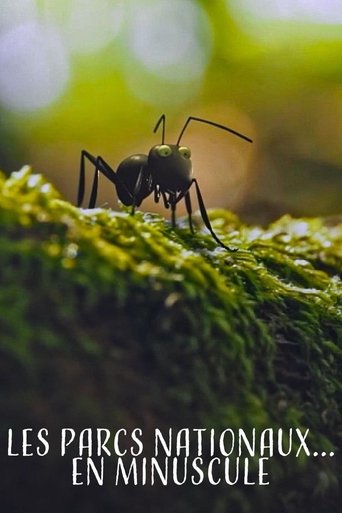 Portrait for Les Parcs naturels... en Minuscule - Season 2