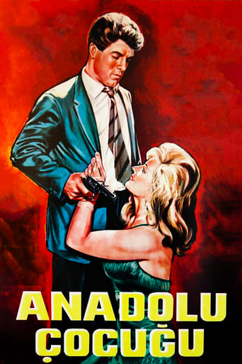 Poster of Anadolu Çocuğu