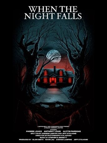 Poster of When the Night Falls