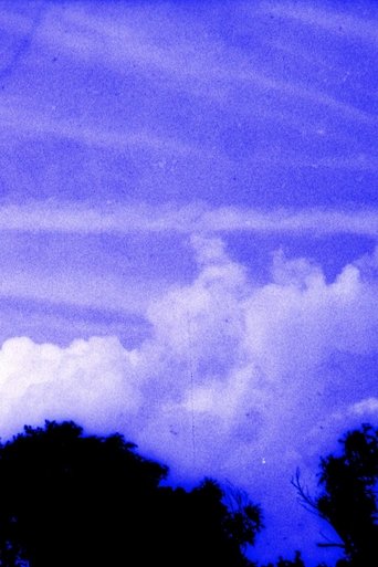 Poster of Anomalies dans le paysage