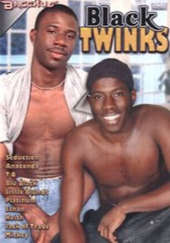 Poster of Black Twinks