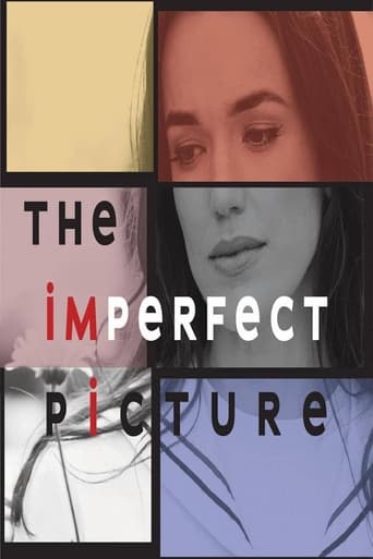 Poster of The Imperfect Picture