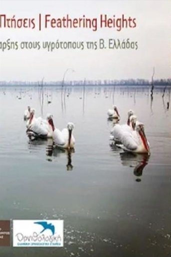 Poster of Ανεμοδαρμένες πτήσεις