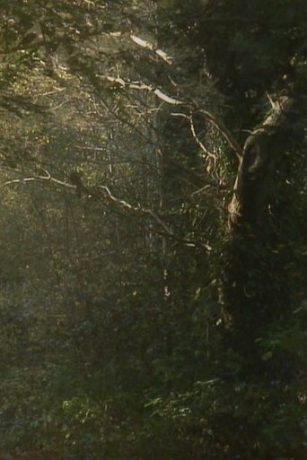 Poster of The Secluded Grove