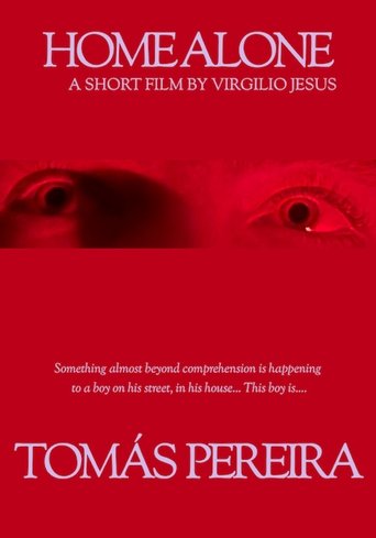 Poster of Home Alone