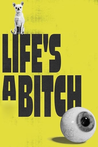 Poster of Life's a Bitch