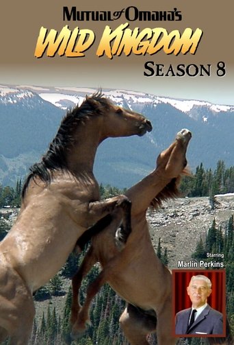 Portrait for Mutual of Omaha's Wild Kingdom - Season 8
