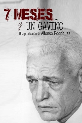 Poster of 7 meses y un Gaviño