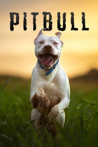 Poster of Pitbull