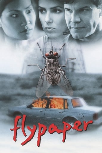 Poster of Flypaper