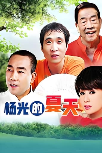 Poster of 杨光的夏天