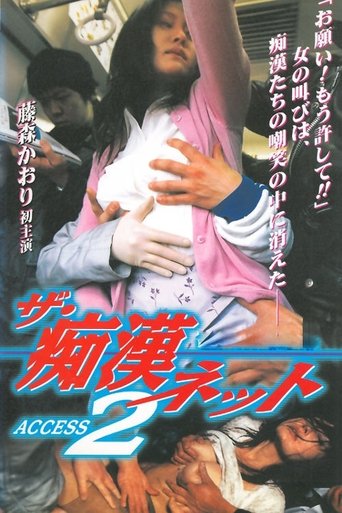 Poster of The Chikan Net