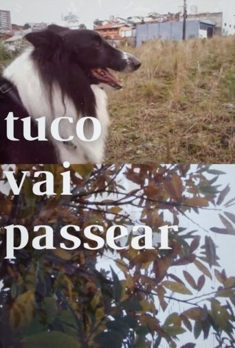 Poster of tuco vai passear