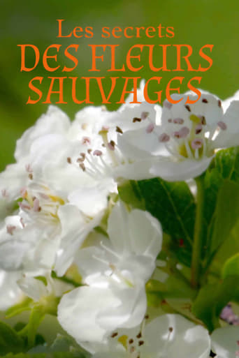 Poster of Les Secrets des fleurs sauvages