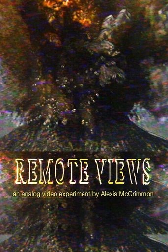 Poster of Remote Views