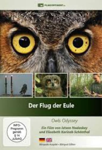 Poster of Der Flug der Eule