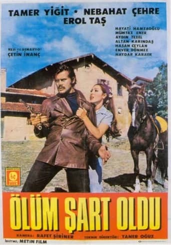 Poster of Ölüm Şart Oldu