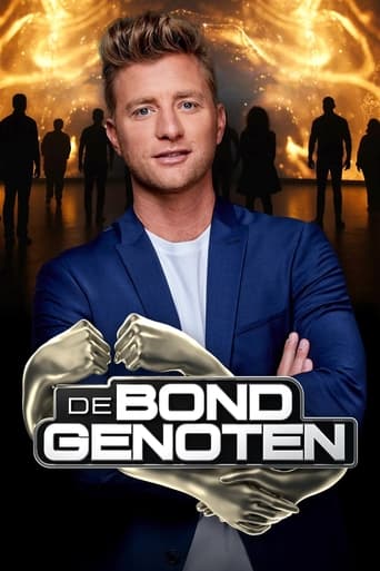 Poster of De Bondgenoten