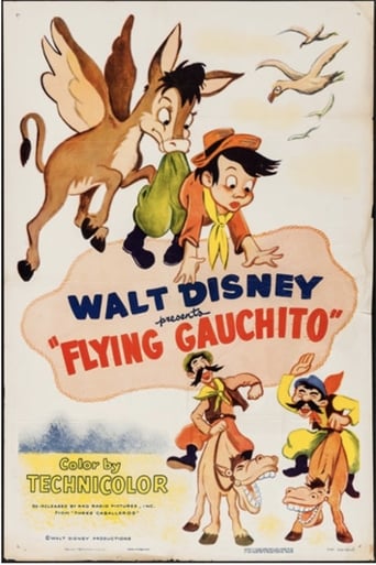 Poster of The Flying Gauchito