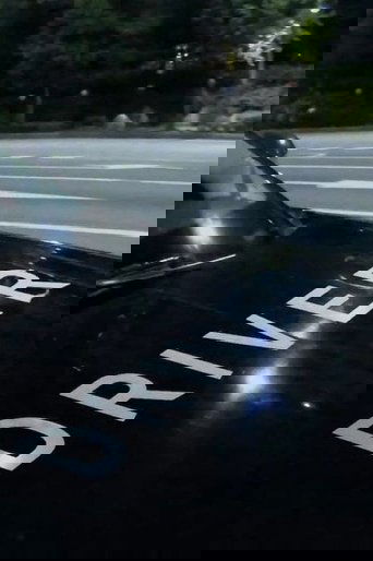 Poster of Driver