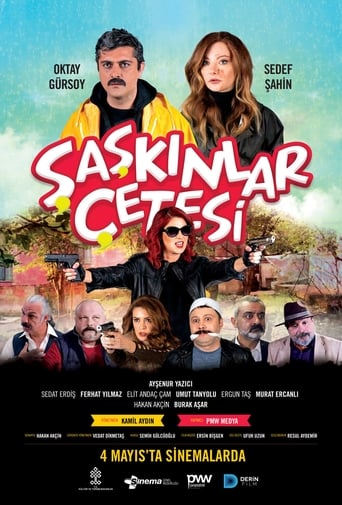 Poster of Şaşkınlar Çetesi