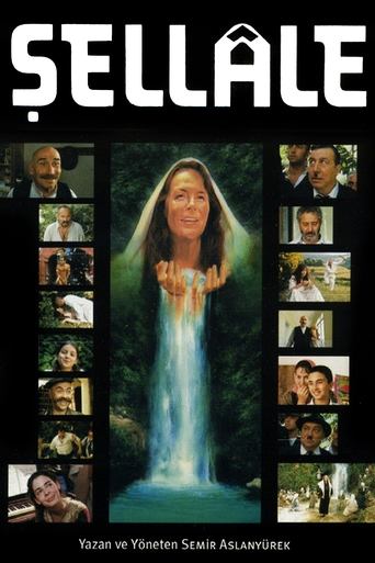 Poster of The Waterfall