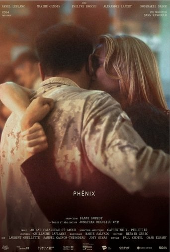 Poster of Phoenixes